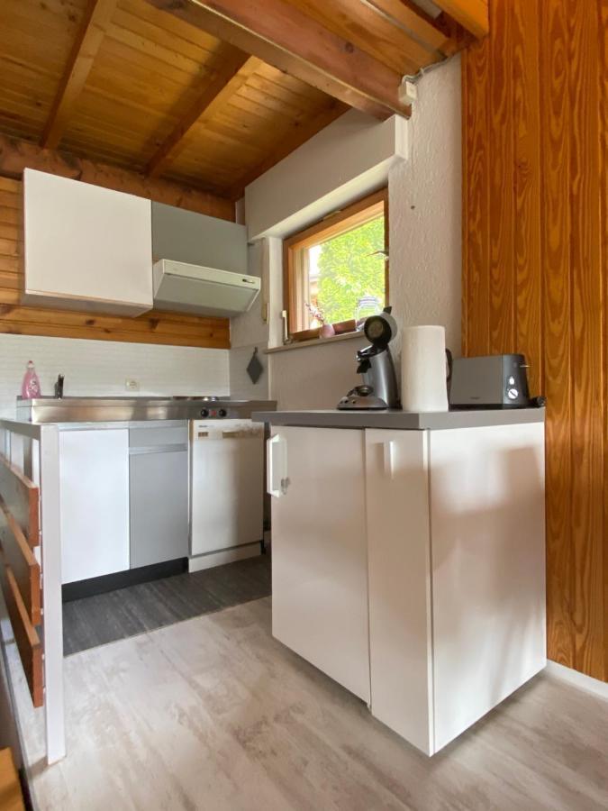 Herzstueck Todtnauberg Extérieur photo
